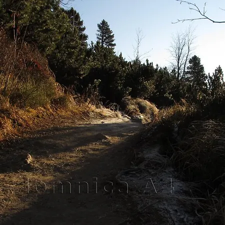 شقة Vysoke Tatry Lomnica A4/2 فيلكا لومنيكا